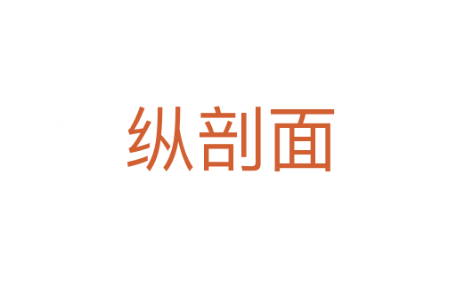 纵剖面