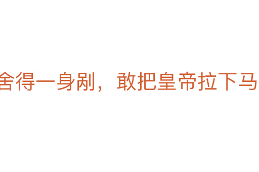 舍得一身剐，敢把皇帝拉下马