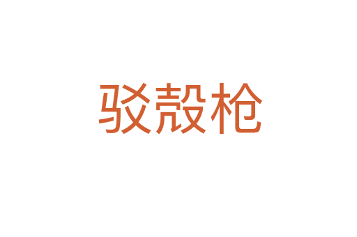 驳殻枪