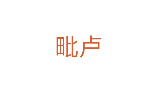 毗卢