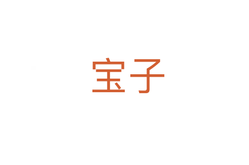 宝子