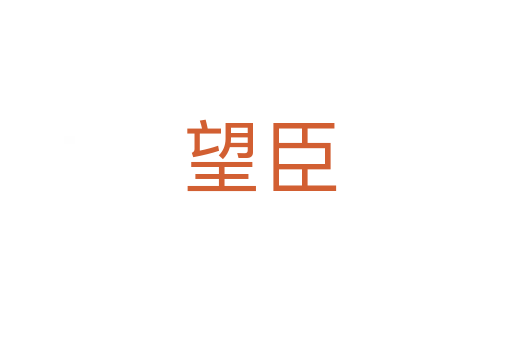 望臣