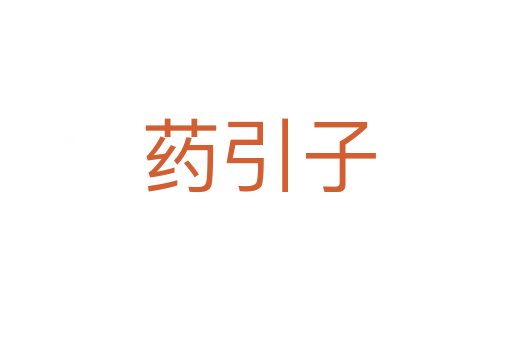 药引子