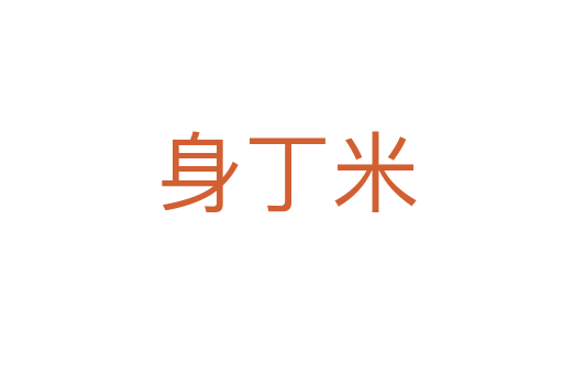 身丁米