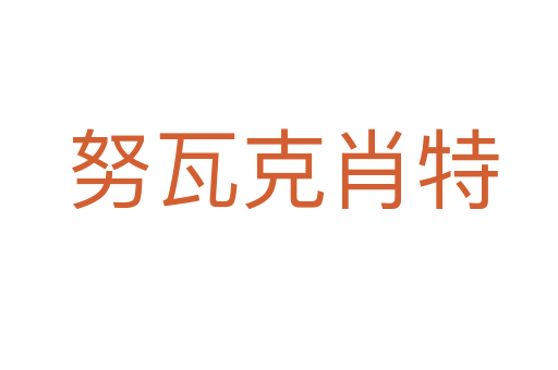 努瓦克肖特