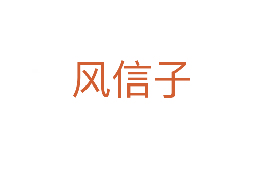 风信子