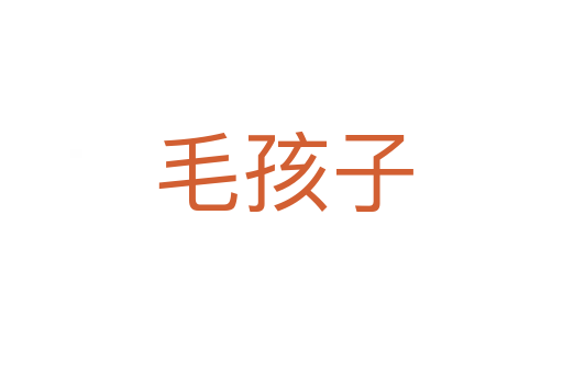 毛孩子