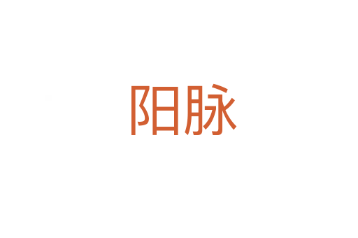 阳脉