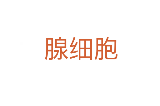 腺细胞