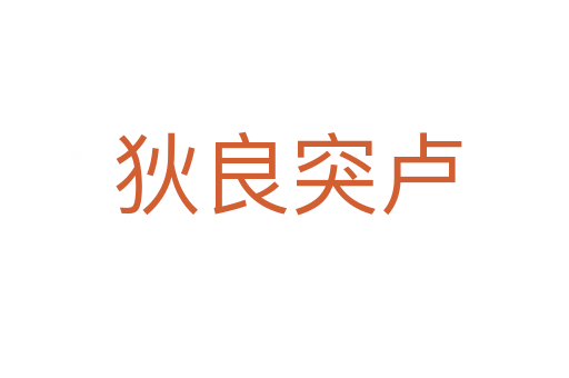 狄良突卢
