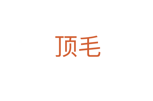顶毛