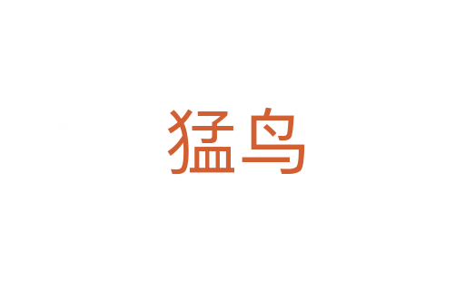 猛鸟