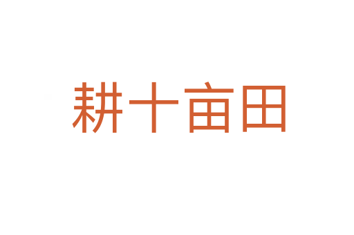 耕十亩田