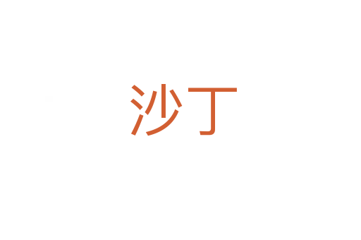 沙丁