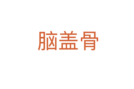 脑盖骨