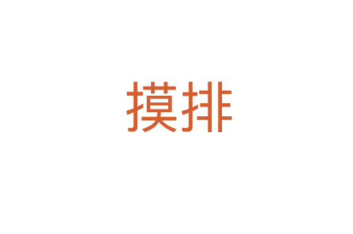 摸排