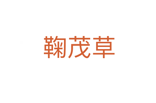 鞠茂草