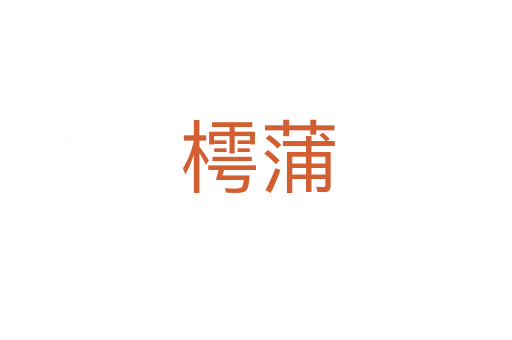 樗蒲