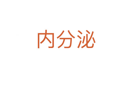 内分泌