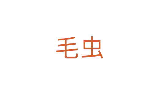 毛虫