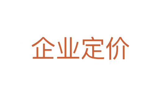 企业定价