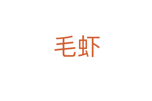 毛虾