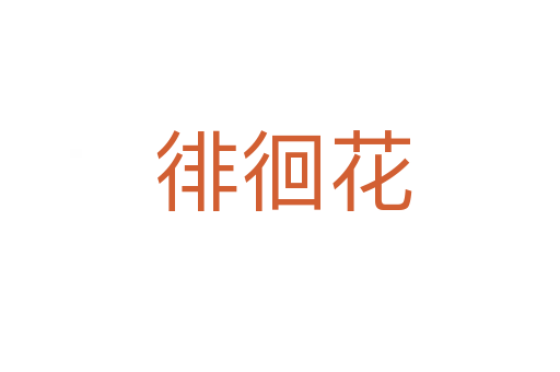 徘徊花