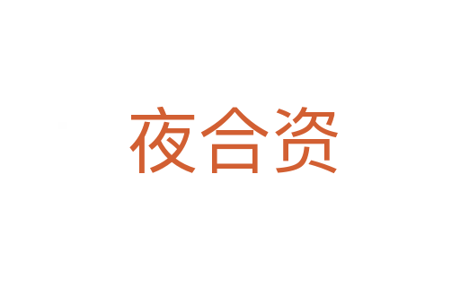 夜合资