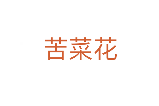 苦菜花