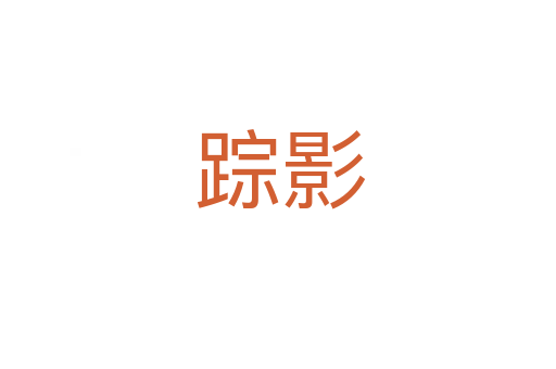 踪影