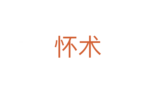 怀术