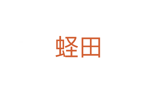 蛏田