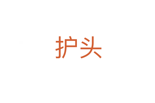 护头