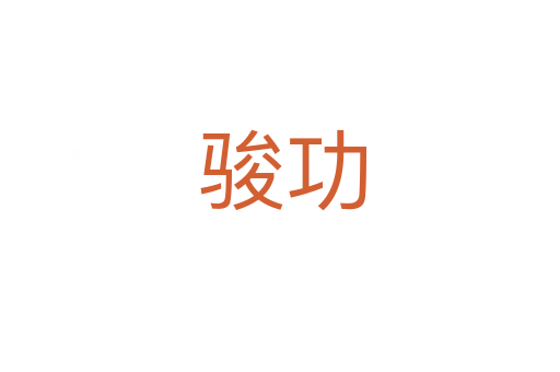 骏功