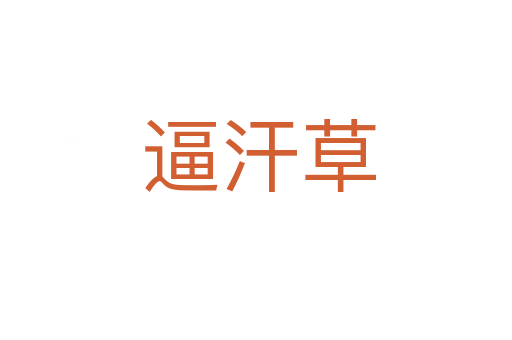 逼汗草