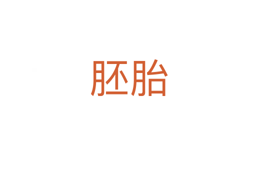 胚胎