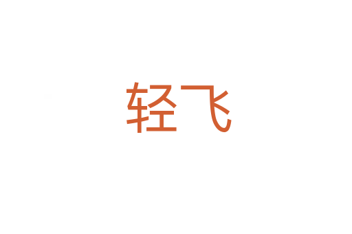 轻飞