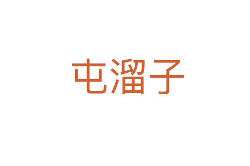 屯溜子