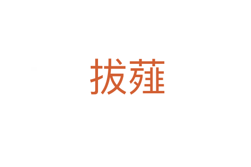 拔薤