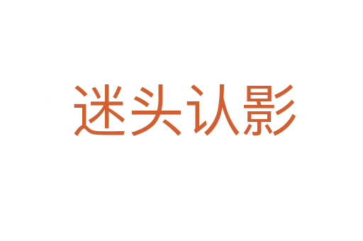 迷头认影