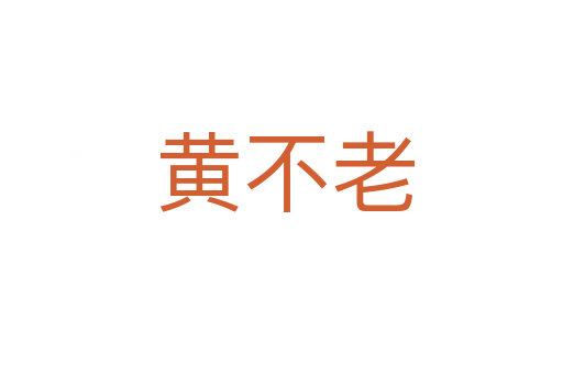 黄不老