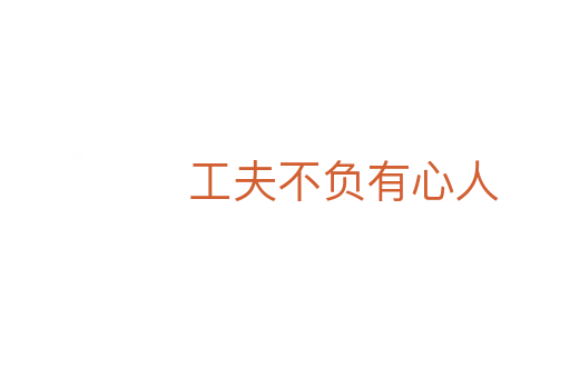 工夫不负有心人