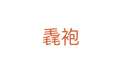 毳袍