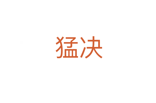 猛决