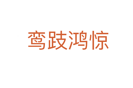 鸾跂鸿惊