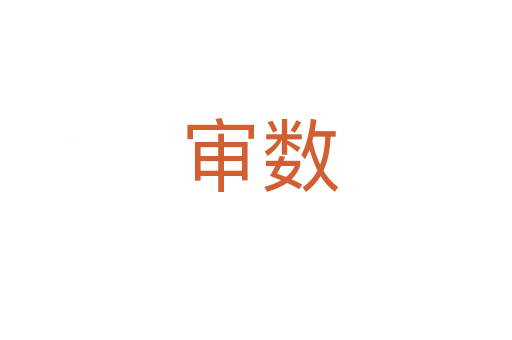 审数
