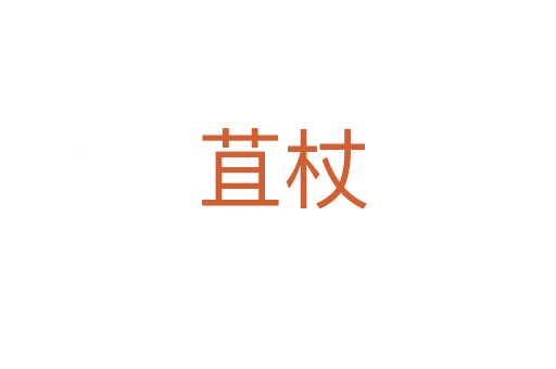 苴杖