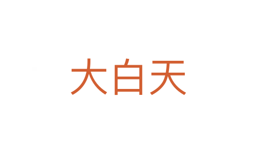 大白天