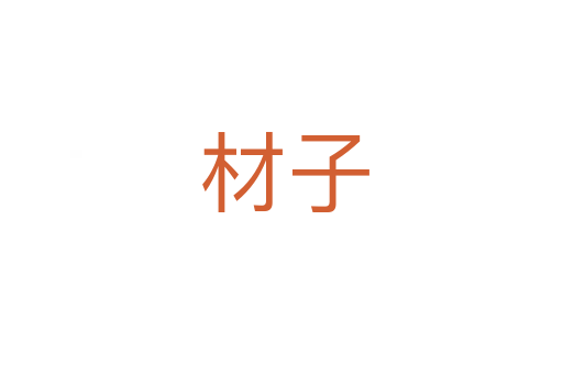 材子