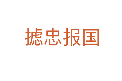 摅忠报国